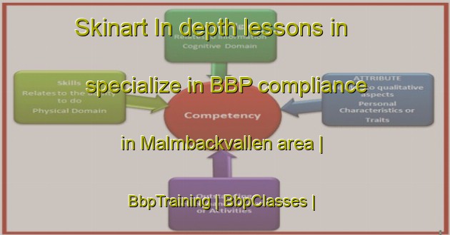 Skinart In-depth lessons in specialize in BBP compliance in Malmbackvallen area | BbpTraining | BbpClasses | SkinartTraining-Sweden